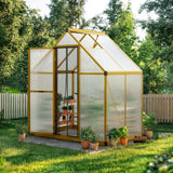 KING BIRD Greenhouse for Outdoors, 4x6 FT Polycarbonate Walk-in Green House, Quick-Setup Aluminum Frame UV Resistant Panel for Outside Garden Backyard W/ Lockable Screen Door, Vent, Yellow