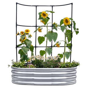 KING BIRD Raised Garden Bed with Wall Trellis Galvanized Planter Garden Box Outdoor for Gardening, Climbing Vegetables, Flowers 3.94x2.95x0.98 Ft, Silver
