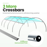 KING BIRD Premium 15x6.6x6.6FT Greenhouse for Outdoors, Large Walk-in Heavy Duty Galvanized Frame, Screen Mesh Door Window Reinforced Zipper Tunnel Hoop for Garden Plant Winter, Green