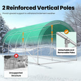 KING BIRD Premium 20x10x6.6FT Large Walk-in Greenhouse for Outdoors, Heavy Duty Galvanized Steel Frame, White