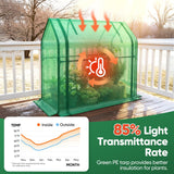 Quictent Mini Greenhouse, Portable Quick-Setup Small Tabletop Waterproof UV Protected PE Cover Shelter for Outdoors/Indoors W/ Raised Base for Garden Plant Seed Starting, 2 Packs, 36"x18"x33", Green
