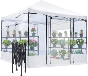 Quictent 10x10ft Portable Walk-in Greenhouse, Easy Setup Pop-up Green House Indoor/Outdoor Plant Shed, Clear