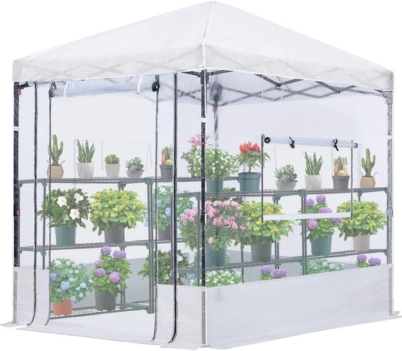 Quictent 8x6ft Portable Walk-in Greenhouse, Easy Setup, Pop-up Green Hous Indoor/Outdoor Plant Shed, Clear