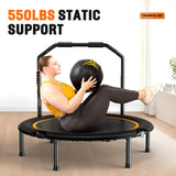Zupapa 48in Foldable Rebounder, 550LBS Fitness Trampoline with Durable Bungees, Adjustable Handl, Stable & Quiet Exercise Rebounder for Adults, Great Exercise Trampoline for Home/Gym Workout