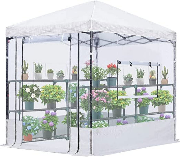 Quictent 8x6 FT Portable Walk-in Greenhouse Clear Green House for Outdoors, Pop-up Greenhouse Easy Setup Indoor High Transparency Plant Shed
