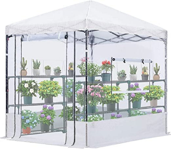 pop up plant house Quictent 8x6 FT Portable Walk-in Greenhouse Clear Green House for Outd – Brandline