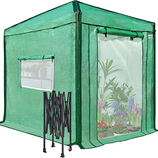 Quictent 8x6 FT Portable Walk-in Greenhouse w/ Oxford Reinforced Seam, Pop-up Green House Garden Plant Shed for Outdoor Indoor, Green